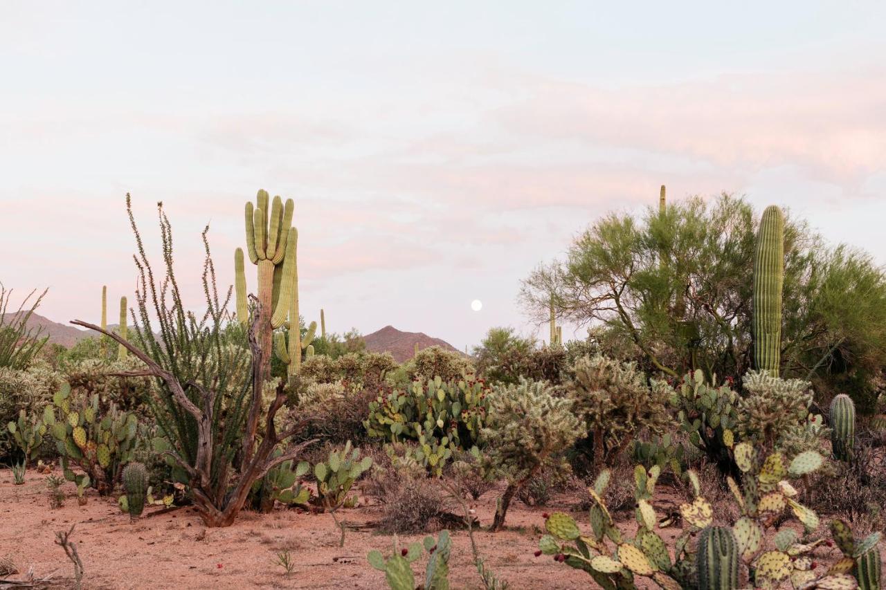 The Jth Tucson Hotel Avra Buitenkant foto