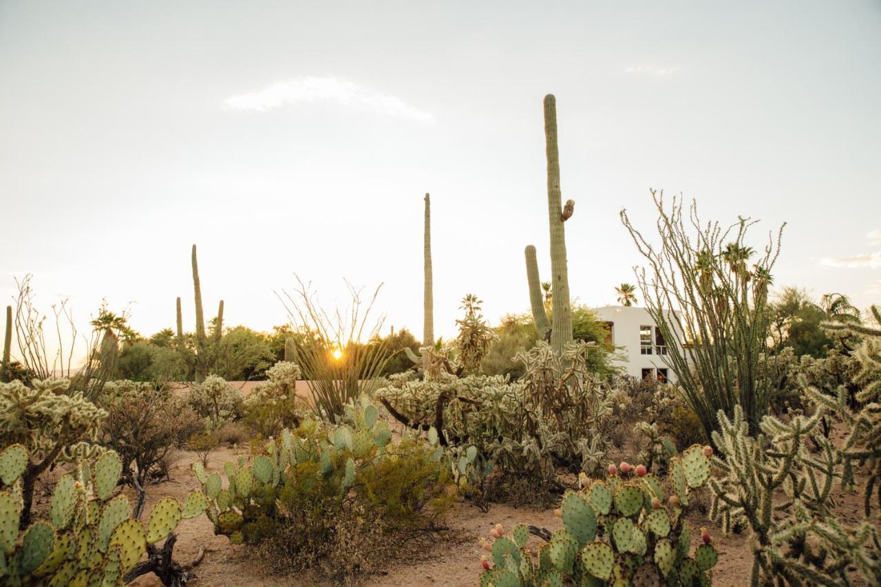 The Jth Tucson Hotel Avra Buitenkant foto