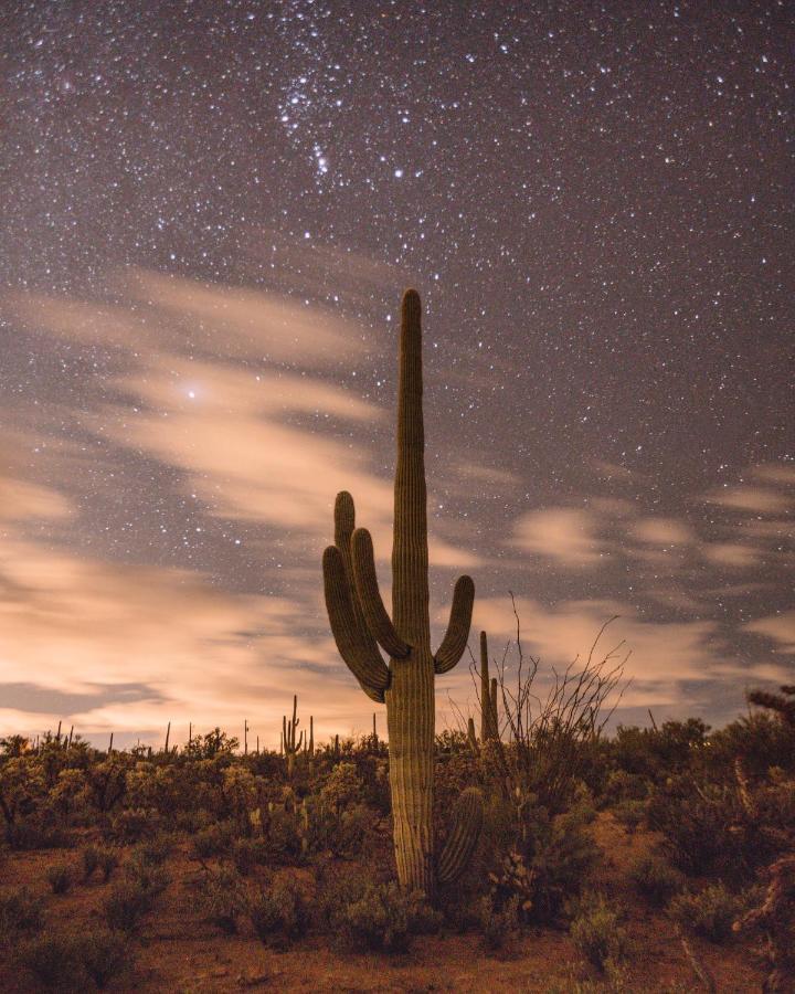 The Jth Tucson Hotel Avra Buitenkant foto